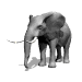 elephant0
