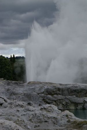 9- Geyser Rotorua