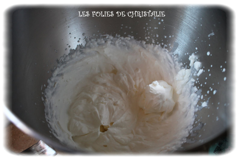 Bûche exotique 5