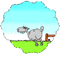 mouton_qui_saute