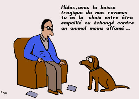 19_06_2008_Sale_temps_pour_les_chiens