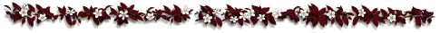 barre_feuilles