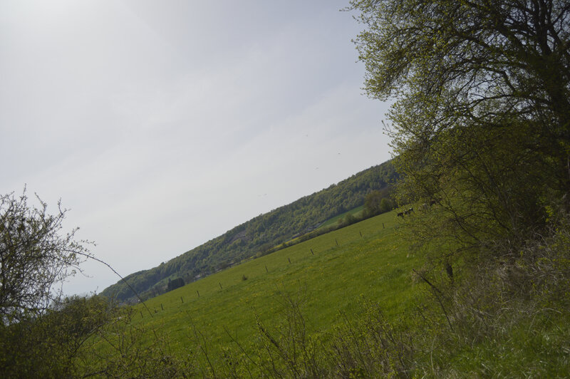 _DSC0082