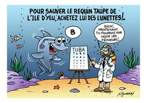 Requin taupe