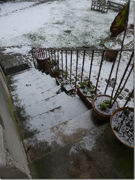 neige du 15 01 2024 (5)