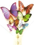 papillons_multicolores