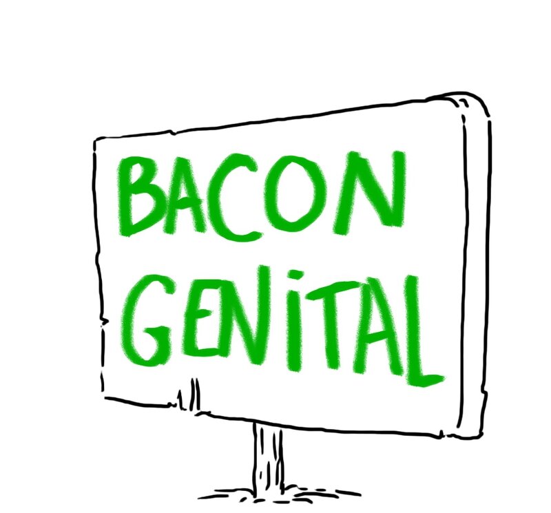 bacon génital2