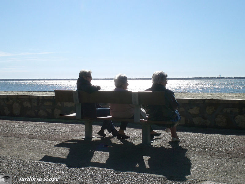 Banc face à la mer - Parc Péreire à Arcachon