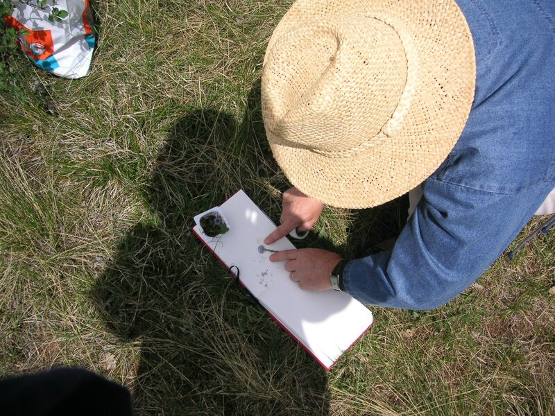 Larzac 2005 2