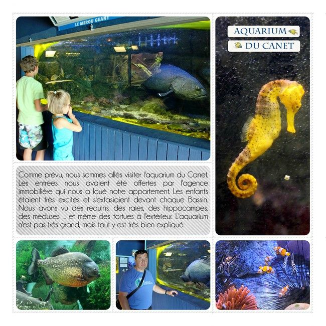 07-05 aquariumD