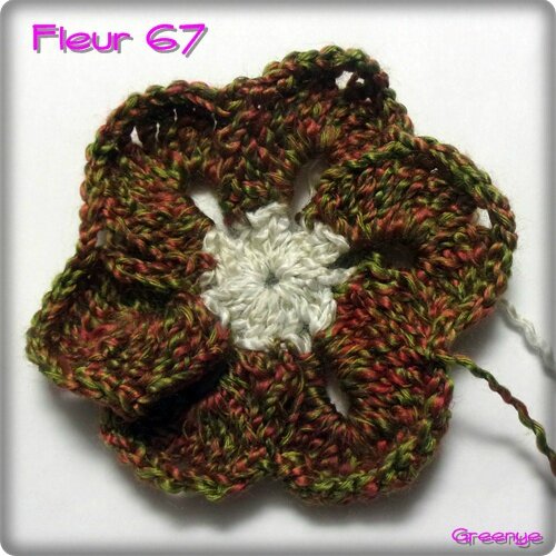 Fleur 67