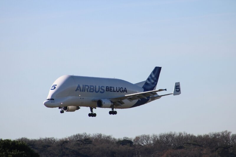 Airbus A300-600ST Beluga