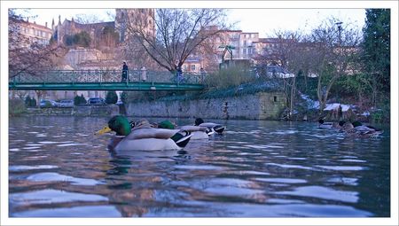 ville_canards_passerelle_221209