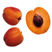 abricots