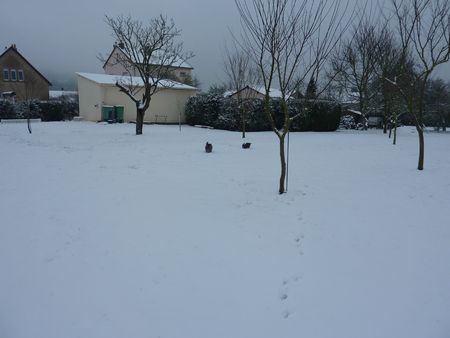 neige_0010