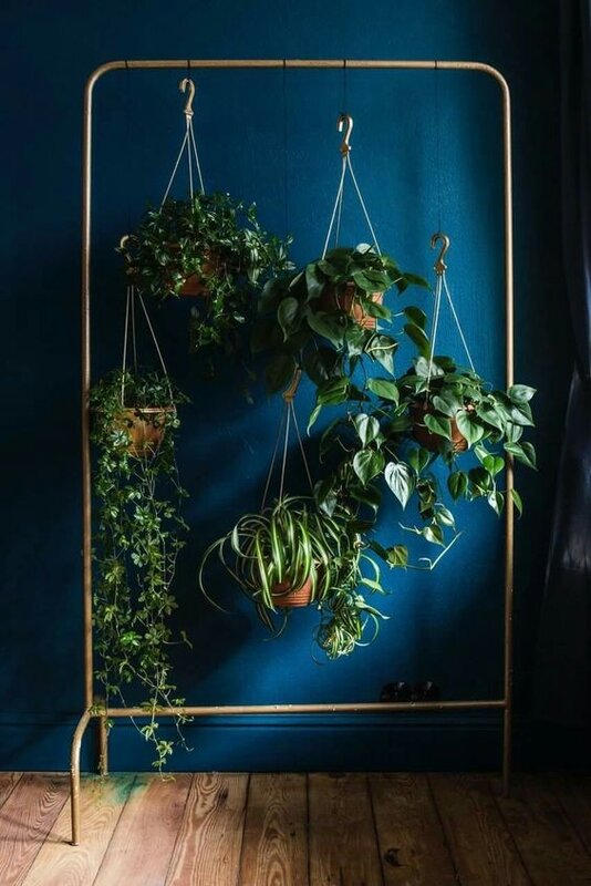 urban_jungle