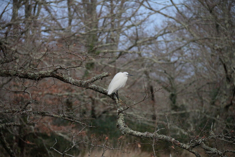 Balade au bord de l'eau...