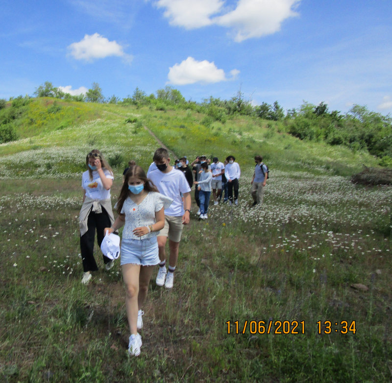 IMG_1997 (2)