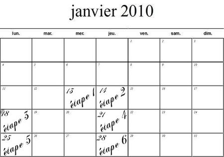 JANVIER_2010