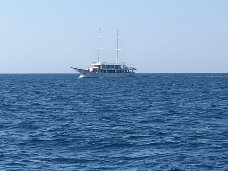 Au sud d’Uvala Kanica, en route pour Split, entre Rt Ploca et Turski Bok, jeudi 19 mars 2020
