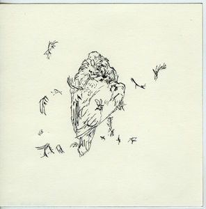 Plume