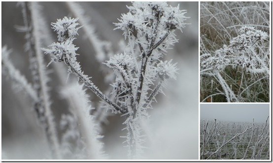 givre du 17 décembre 20222