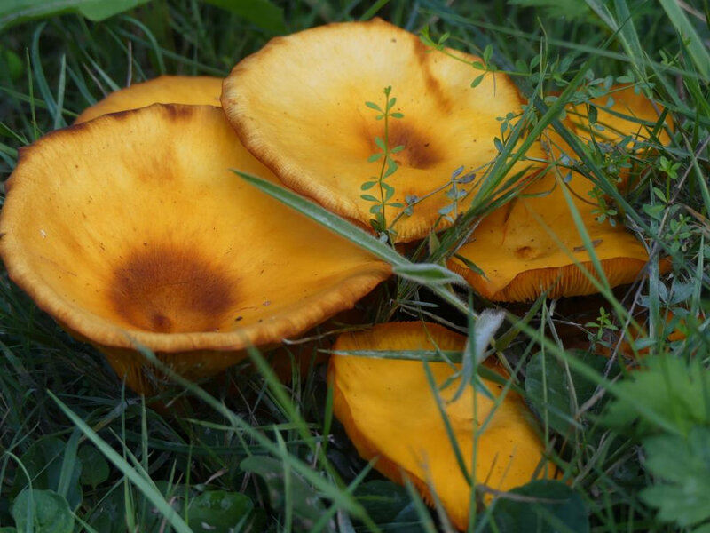 P1020537