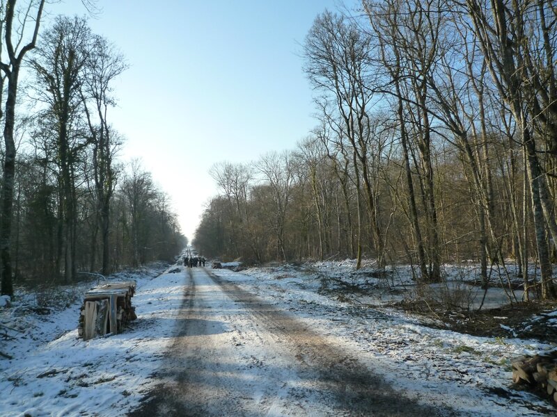 route forestière de l'Epine