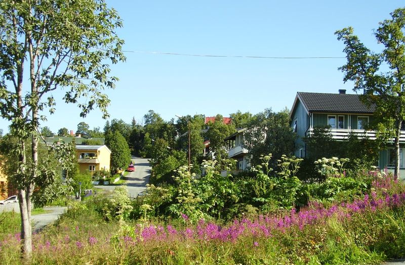24-08-08 Sortie Vélo Tromso (043)