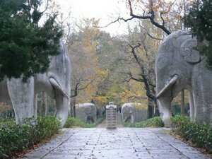 ___Purple_Mountain_______Ming_Tomb____Sacred_Path___Elephants3