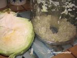 Salade_vend_enne_au_chou_blanc_du_jardin_008