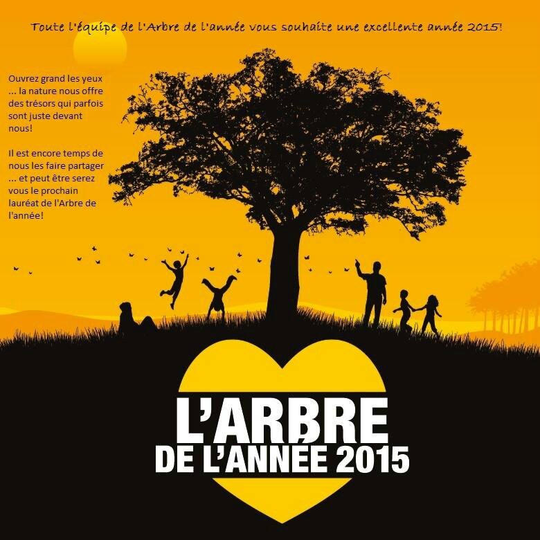 Arbre de l'Année 2015