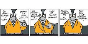 le chat strip 1