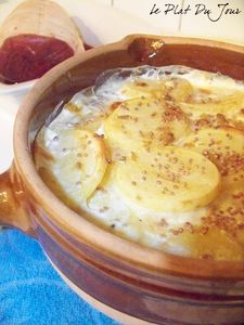 recettes plats Gratin de pommes