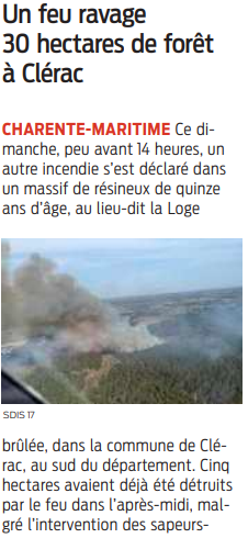 2022 03 28 SO Un feu ravage 30 hectares de forêt à Clérac