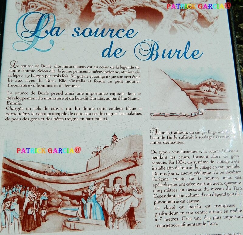 RUISSEAU ET SOURCE DE BURLE 092 copie