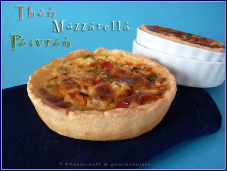 quiche thon poivrons mozzarella (20)