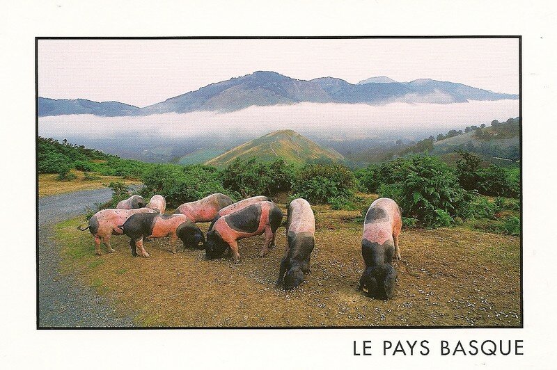 Pays Basque, tel quel (64)