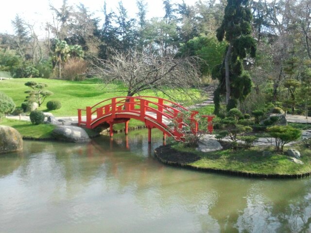 jardin japonais 003