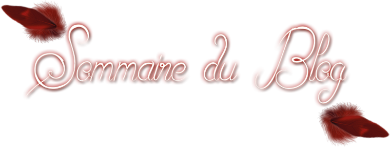 Sommaire-du-blog