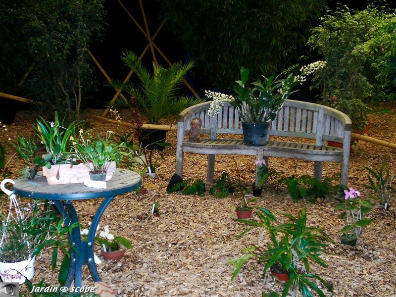 Banc aux orchidées - Exposition Orchiflore 2008 à Orléans