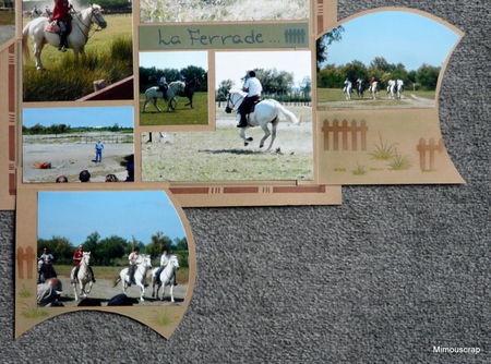 cam_200942b2