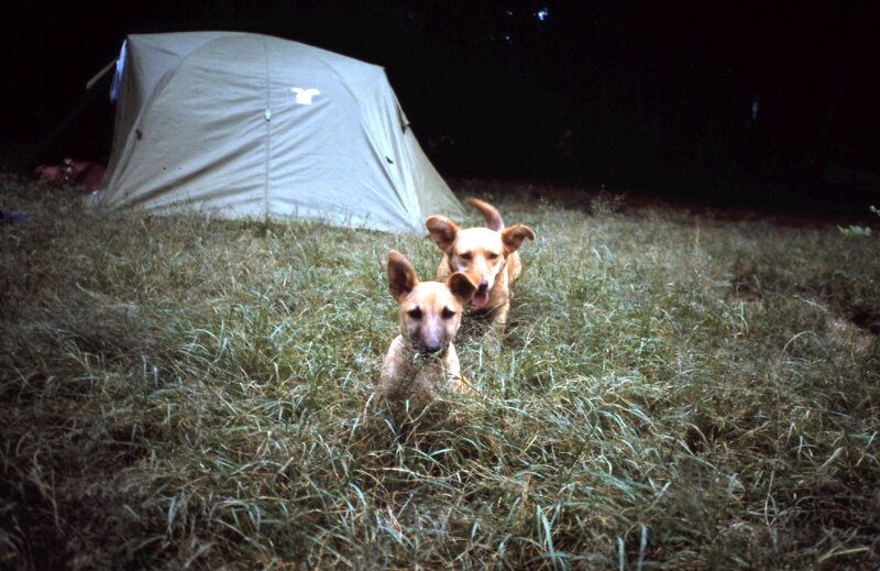 nairobi camping g