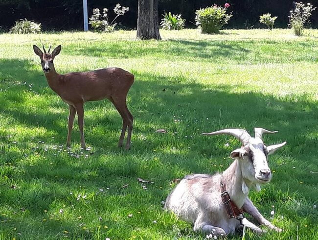 Michel et Lucky