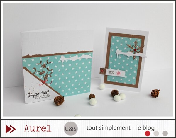 021215 - Carterie Noël_1_blog