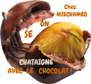 chataigne ouverte2