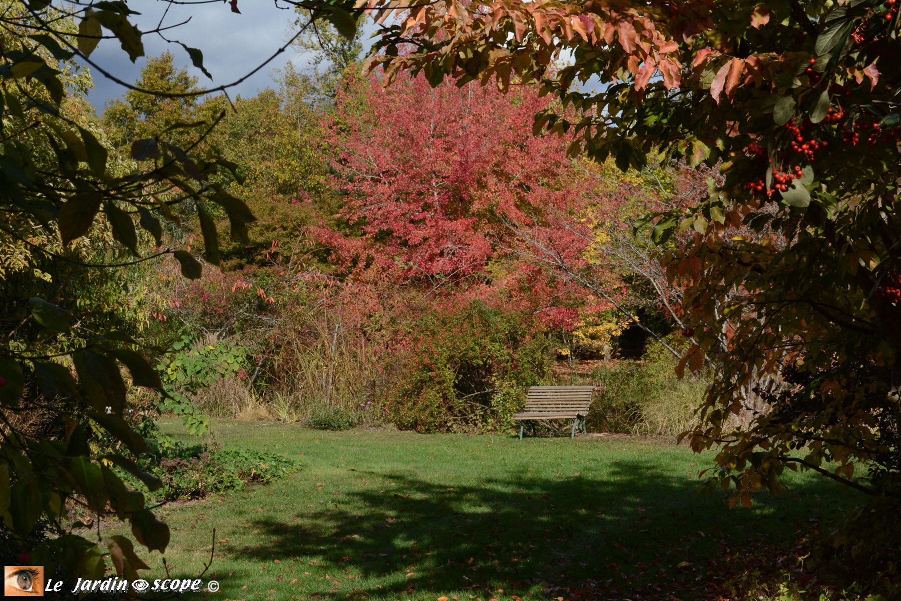 Petit banc dans le jardin d'automne de Berville