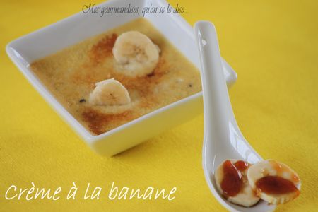 Copie_de_IMG_2862