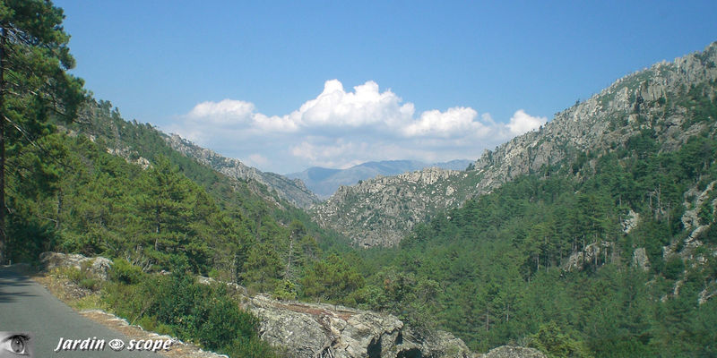 CIMG0143