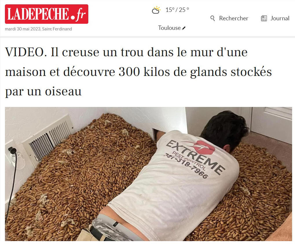 Une belle réserve